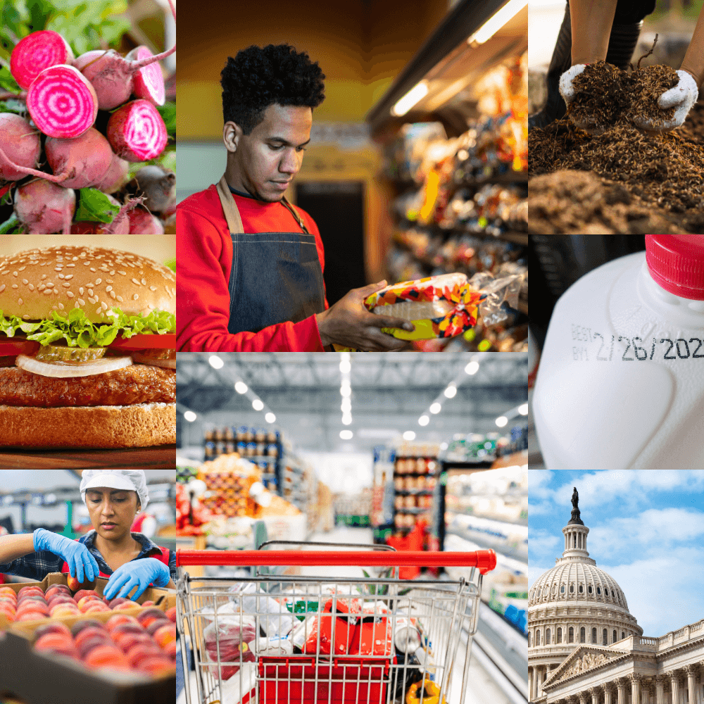 Food Waste Solution Providers